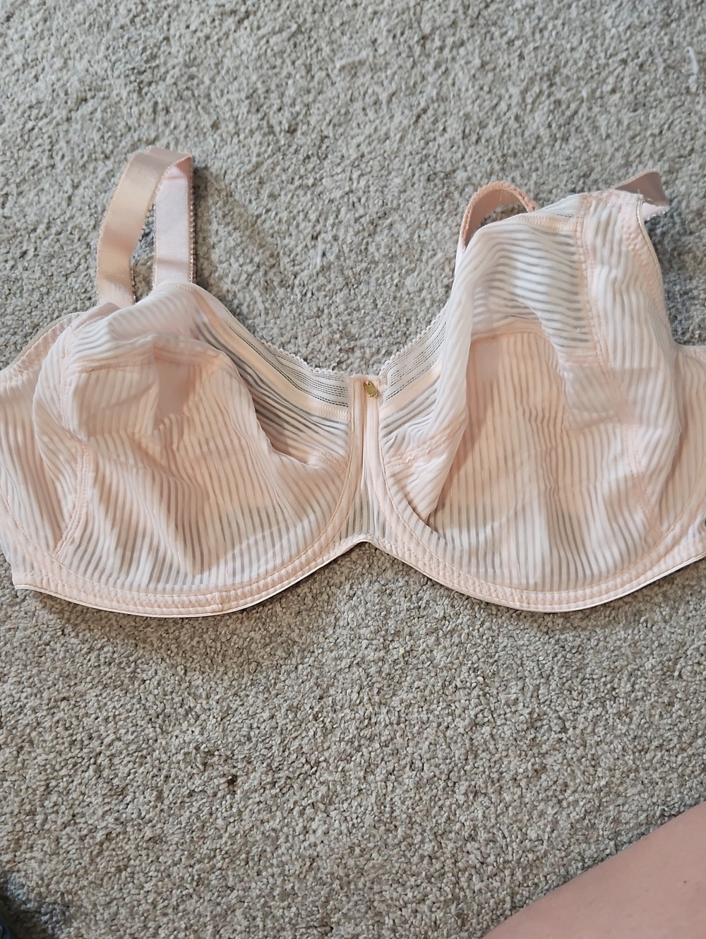 Fantasie Blush Sheer Striped Underwire Bra 36I